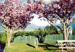 Picture of Fiordland Holiday Park, Southland