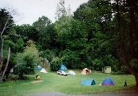 Picture of Dickson Holiday Park, Waikato