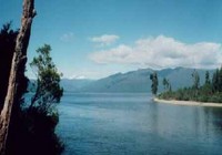 Picture of Lake Brunner Country Motel, Cabins &amp; Campervan Park, Westcoast