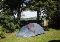 Picture of Pounawea Motor Camp, Southland