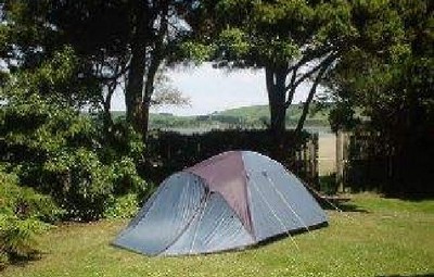 Picture of Pounawea Motor Camp, Southland