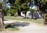 Picture of Spring Creek Holiday Park, Marlborough