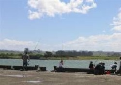 Picture of Opotiki Holiday Park, Bay of Plenty