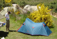 Picture of Tongariro Holiday Park, Taupo