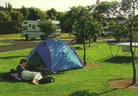 Picture of Manukau Top 10 Holiday  Park, Auckland
