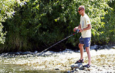 Picture of Ashley Gorge Holiday Park, Canterbury