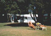 Picture of Martins Bay Holiday Park, Nelson