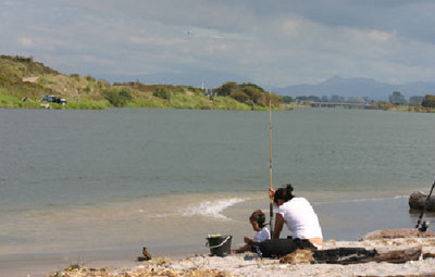 Picture of Thornton Beach Holiday Park, Bay of Plenty