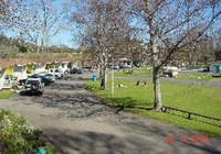 Picture of Wanganui River Top 10 Holiday Park, Manawatu