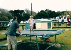 Picture of Baylys Beach Motor Camp & Holiday Park, Northland
