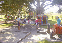 Picture of Pakiri Beach Holiday Park, Northland