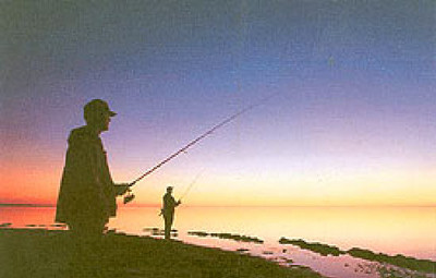 Picture of Pakiri Beach Holiday Park, Northland