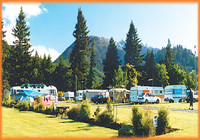 Picture of Pines Holiday Park, Canterbury