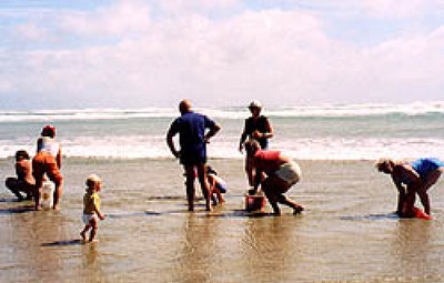 Picture of Pukenui Holiday Park, Northland