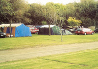 Picture of Kuaotunu Motor Camp, Waikato