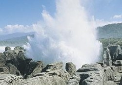 Picture of Punakaiki Beach Camp, Westcoast