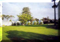 Picture of Twin Pines Tourist Park, Northland