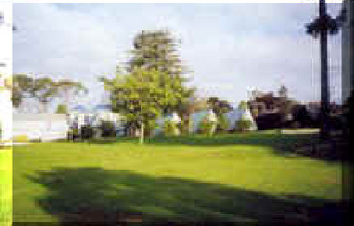 Picture of Twin Pines Tourist Park, Northland