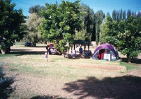 Picture of Taupo Bay Holiday Park, Northland