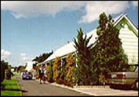 Picture of Auckland North Shore Motels &amp; Holiday Park, Auckland