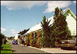 Picture of Auckland North Shore Motels & Holiday Park, Auckland