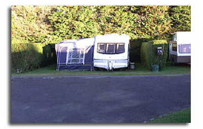 Picture of The Stratford Top Town Holiday Park, Taranaki