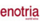 enotria v2 enotria v2