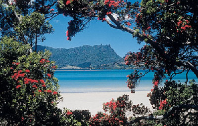 Picture of Whangarei Top 10 Holiday Park, Northland