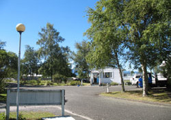 Picture of Turangi Cabins & Holiday Park, Taupo