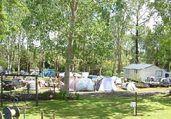 Picture of Bay Of Islands Holiday Park, Northland