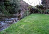 Picture of Morere Springs Tearooms &amp; Camping Ground, East Cape