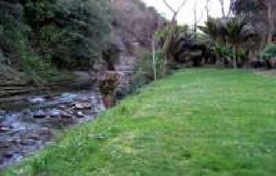 Picture of Morere Springs Tearooms &amp; Camping Ground, East Cape