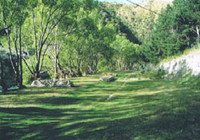 Picture of Dansey's Pass Holiday Park, Otago