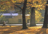 Picture of Arrowtown Holiday Park, Southland