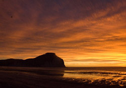 Picture of Mahia Beach Motels & Holiday Park, East Cape