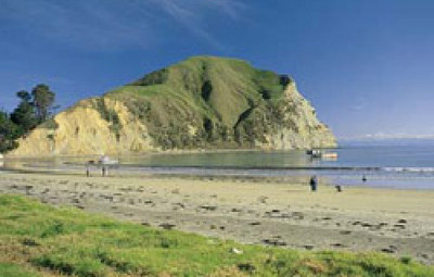 Picture of Mahia Beach Motels &amp; Holiday Park, East Cape
