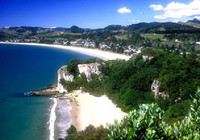 Picture of Cooks Beach Camp, Waikato