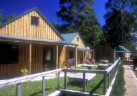 Picture of Cooks Beach Camp, Waikato