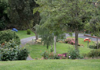 Picture of Aaron Lodge Top 10 Holiday Park, Otago