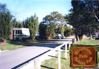 Picture of Riccarton Park Motor Camp, Canterbury