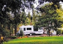 Picture of North South Holiday Park, Canterbury