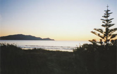 Picture of Paekakariki Holiday Park, Wellington
