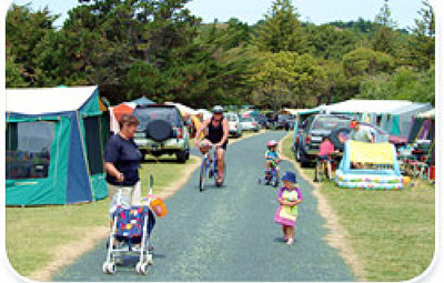 Picture of Waikanae Beach Holiday Park, East Cape