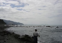 Picture of Kaikoura Coastal Campgrounds, Canterbury