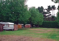 Picture of Tirohanga Beach Motor Camp, Bay of Plenty