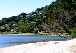 Picture of The Glade Holiday Park, Waikato