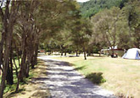 Picture of Maitai Valley Motor Camp, Nelson
