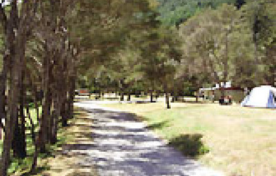 Picture of Maitai Valley Motor Camp, Nelson