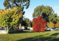 Picture of Great Lake Holiday Park, Taupo