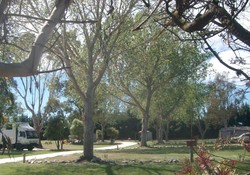 Our park - Approximately 4 acres of park like grounds
